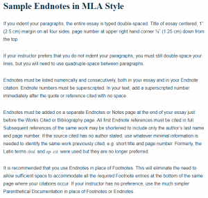 endnotes example photo